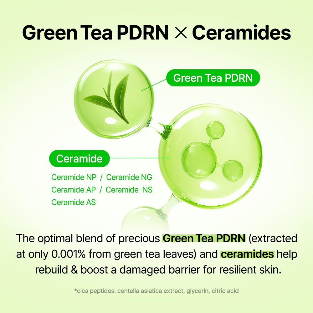 Green Tea & Ceramide Barrier Cream