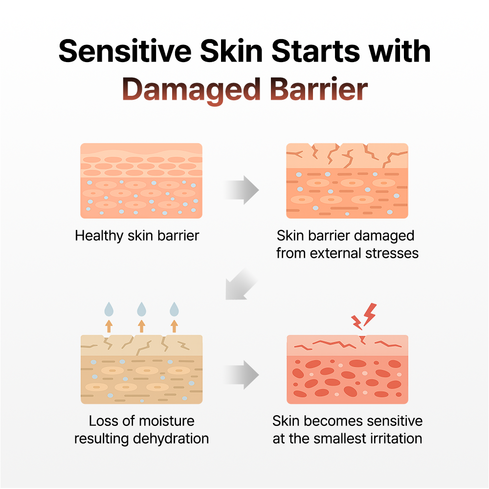 Green Tea & Ceramide Barrier Cream