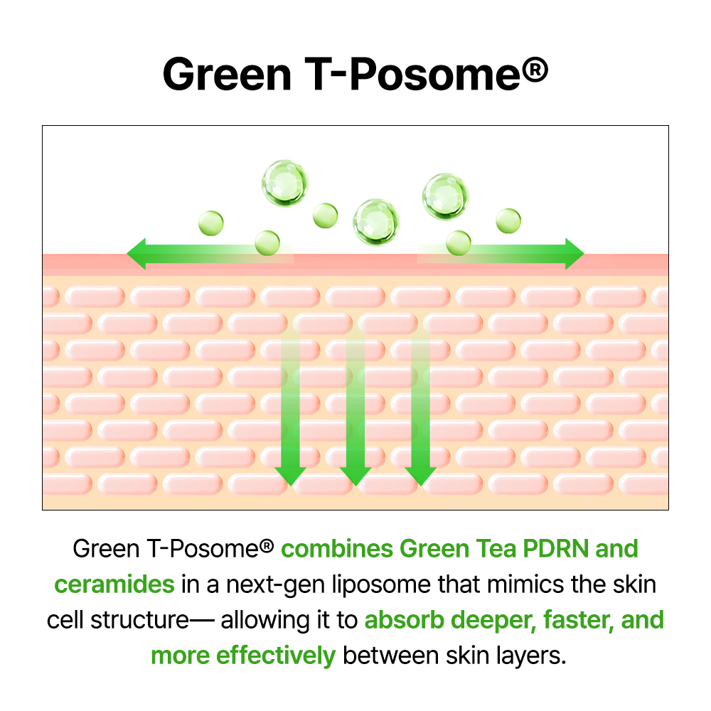 Green Tea & Ceramide Barrier Cream