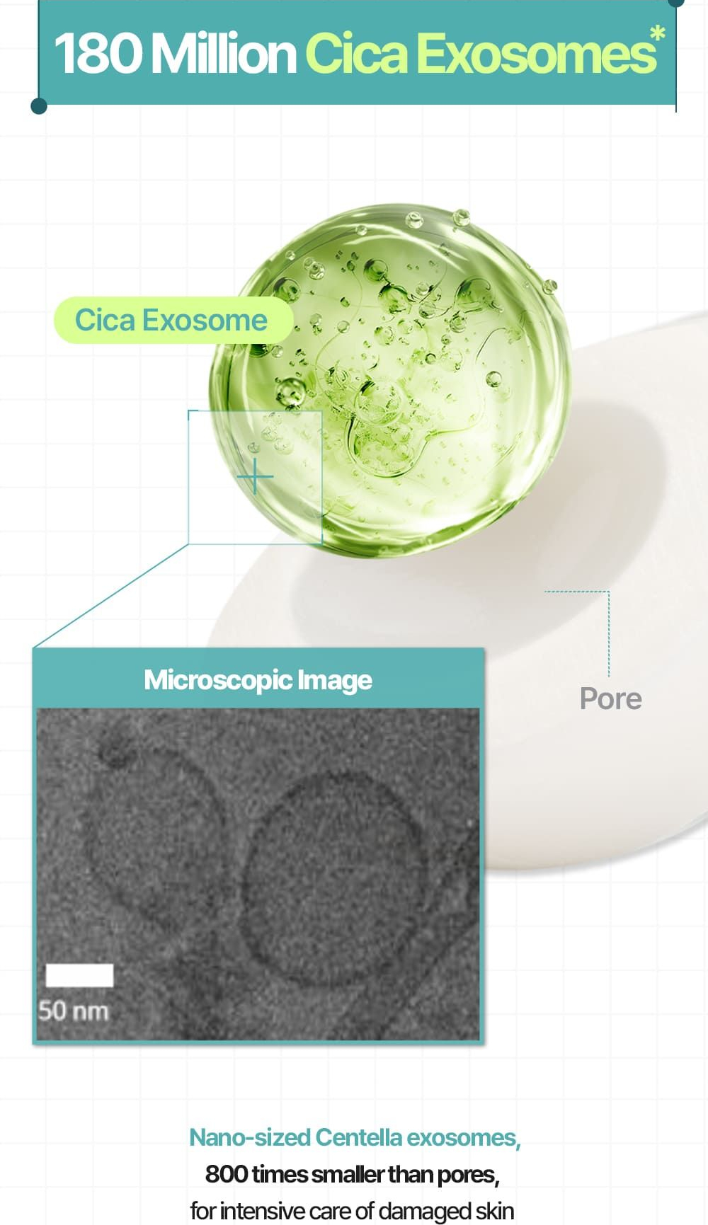 Dear Klairs Supple Preparation Cica Toner
